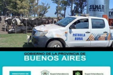 Resuelven en 9 de Julio un robo de animales valuado en más de 18 millones de pesos