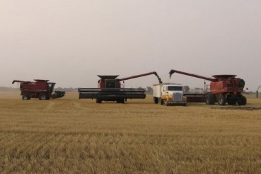 Entidades agrarias ratificaron el cese de comercialización de granos