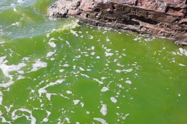 Provincia y municipio analizan monitoreo de cianobacterias en Junín