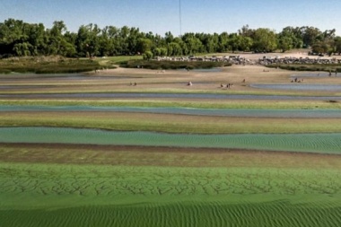 Una laguna de Chacabuco y otra de Alem afectadas por cianobacterias