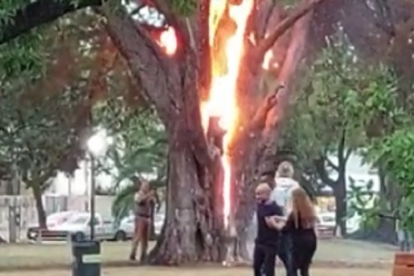 Un rayó afectó el funcionamiento de pozos de agua en Alberti y otro quemó un árbol en Lincoln