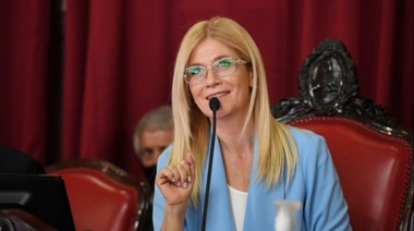 Vicegobernadores consideraron que el fallo de la Corte es un acto de “injusticia”