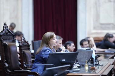 Moreau llamó a tratar de manera urgente el Plan de Pago de Deuda Previsional