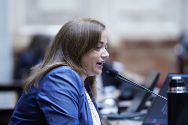 Cecilia Moreau: "Es llamativo que la oposición no quiera debatir temas urgentes como moratoria previsional, monotech y Universidades”
