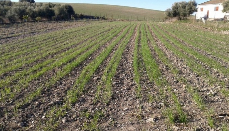Estiman una primavera sin lluvias y bajas temperaturas