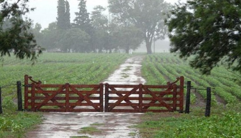 Las lluvias mejoraron las perspectivas del campo en toda la provincia