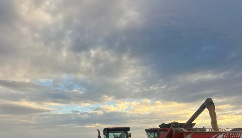 Estiman que la recaudación por retenciones al agro creció un 80% este año