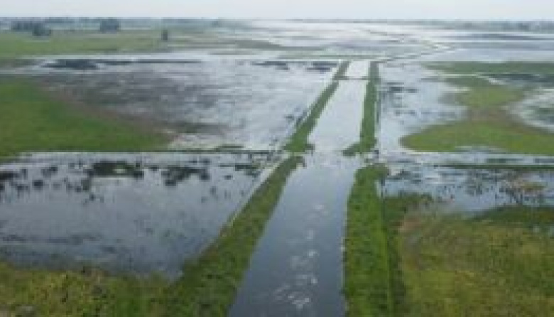 Nación declaró la emergencia en dos distritos más castigados en la cuarta