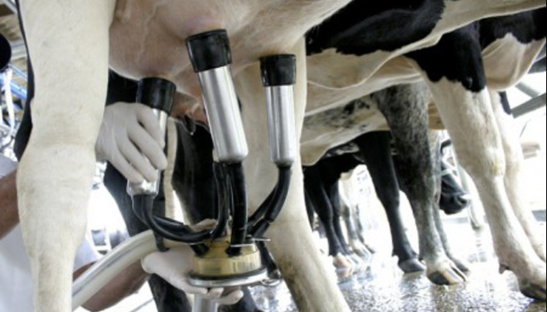 General Villegas avanza con una nueva licitación para mejorar caminos rurales de la cuenca lechera