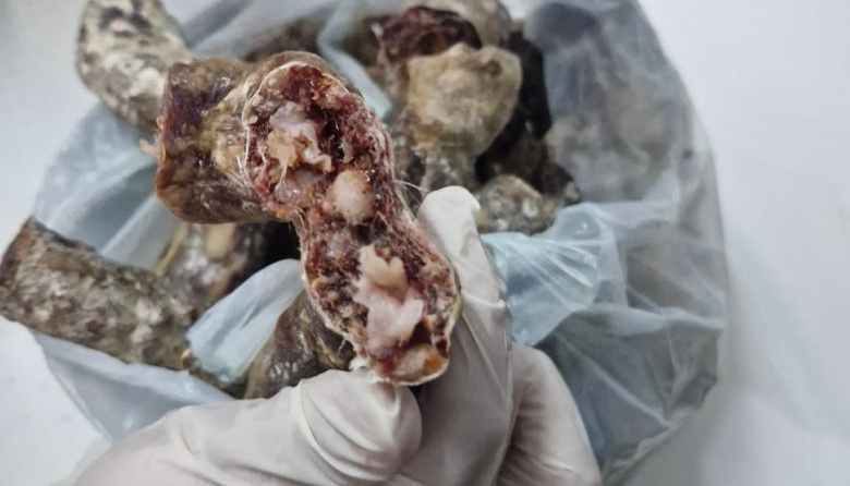 Brote de triquinosis en Lincoln: ya son 27 los casos sospechosos