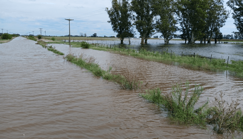 Nación declaró la emergencia agropecuaria en 9 de Julio