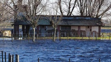 El 60 % de la ganadería bonaerense está en riesgo