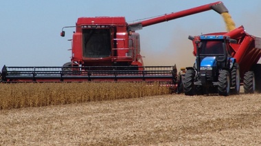 La liquidación de divisas cayó 46,3% a u$s 307,4 millones