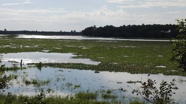 En 9 de julio afirmaron estar "rodeados por el agua" y convocaron a la mesa agropecuaria