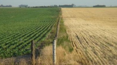 Federación Agraria Junín consideró "un castigo al campo" el revalúo