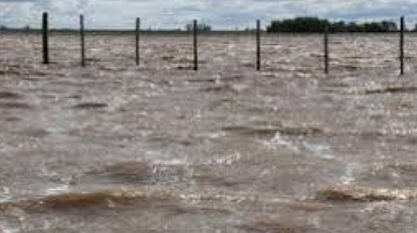 Según Carbap, "para economía quedaron atrás los campos incendiados y las inundaciones"