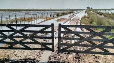 En Tranque Lauquen piden que se ponga en condiciones la "ruta del cereal"