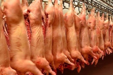 Gobierno vs productores porcinos