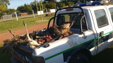 Reunión de productores, concejales y patrulla rural ante nueva escalada de hechos en campos juninenses