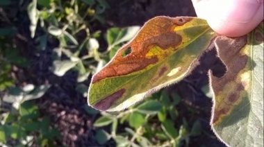 Dos caras: de las inundaciones a la sequía en la provincia