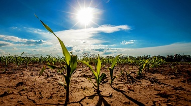 La Rural de Junín advirtió sobre problemas en las economías regionales