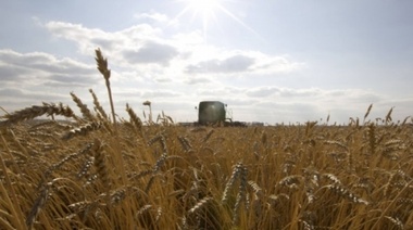 Pehuajó podría perder más de 1000 millones de pesos por la sequía