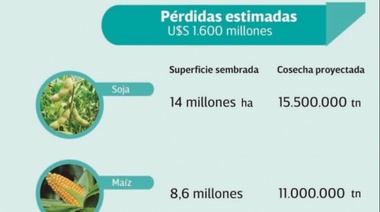 Estiman una caída del 30% en la producción y pérdidas por US$ 1.600