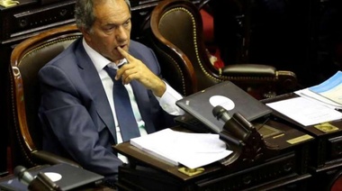 Diputado Scioli pidió que se elabore un protocolo de protección infantil