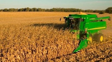 Afirman que la siembra de trigo crecería 15% en zona núcleo