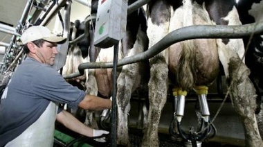 Tamberos se reunieron en Trenque Lauquen para reclamar por la distorsión de precios en la producción