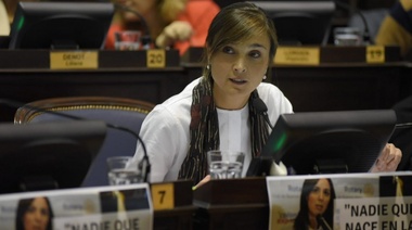 Tarifas: Giaccone pidió conocer las inversiones de las distribuidoras de luz