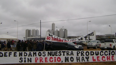 Tamberos advierten sobre crítica situación del sector y critican posibles créditos