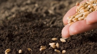 Apuntan al Gobierno de enfriar la ley de Semillas que impulsaban CRA y FAA