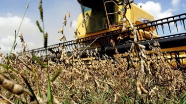 Para el radical Morales, se debería “parar la baja de retenciones" a la soja "mientras dure la crisis"