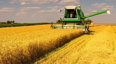 Récord: Afirman que el cultivo de trigo termina con una siembra histórica   