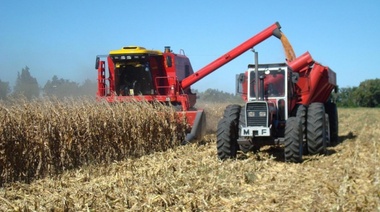 Casi el 40% del costo de producción de una hectárea en la provincia se va en impuestos