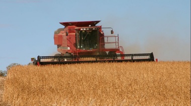 Desde Nación proyectan 140 millones de toneladas para la campaña agrícola 18/19