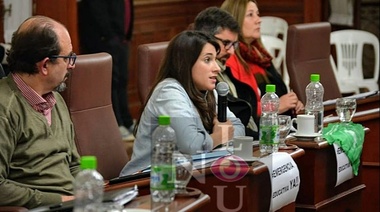UC calificó de "triste" el rol del diputado Britos tras acompañar el presupuesto de Vidal
