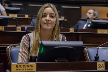 Ricchini defendió la postura oficial: "es lo que podemos pagar"