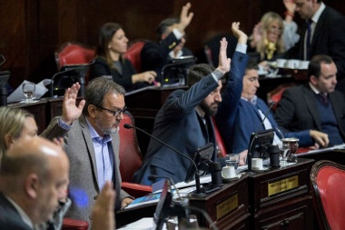 El Senado aprobó la reducción de tarifas: "hoy las cuentas están en orden", dijo Costa