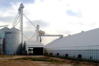 Detectan un faltante de casi 7 mil toneladas de soja de una cerealera de Casares
