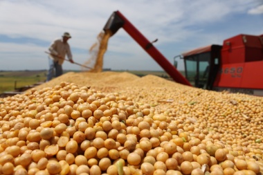 La cosecha de soja es la peor en 9 años por la sequía