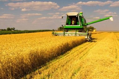 Récord: Afirman que el cultivo de trigo termina con una siembra histórica   