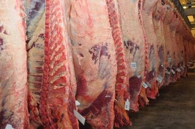 Se realizó la primera exportación argentina de carne vacuna premium al mercado japonés