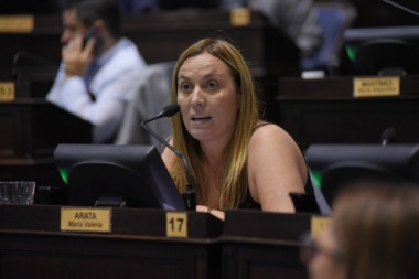 Arata anticipó una “larga discusión” por el presupuesto bonaerense