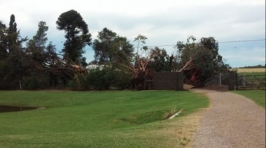 Temporal de viento dejó severos daños en General Villegas