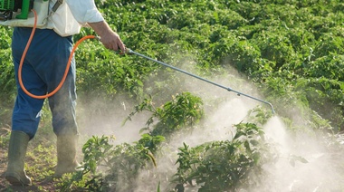 Piden al Gobierno que derogue la resolución que regula las fumigaciones