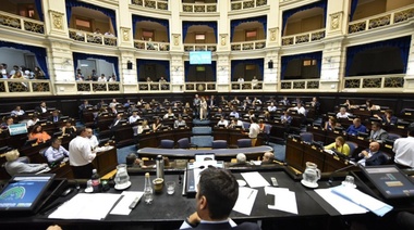 Aprueban Ley para prohibir las reelecciones indefinidas en los Colegios Profesionales