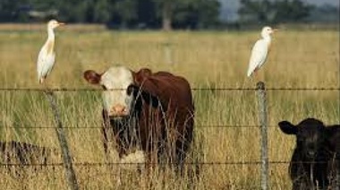 Ascienden a 62 los municipios que adhirieron al Documento Único de Tránsito