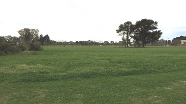 Déficit Habitacional: en 9 de Julio proponen la creación de un banco de tierras municipal